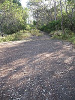 QLD - Curra - Curra Rd Old Bruce Highway Dead End South of Railway (31 Jul 2011)